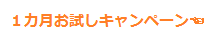 1か月無料キャンペーン